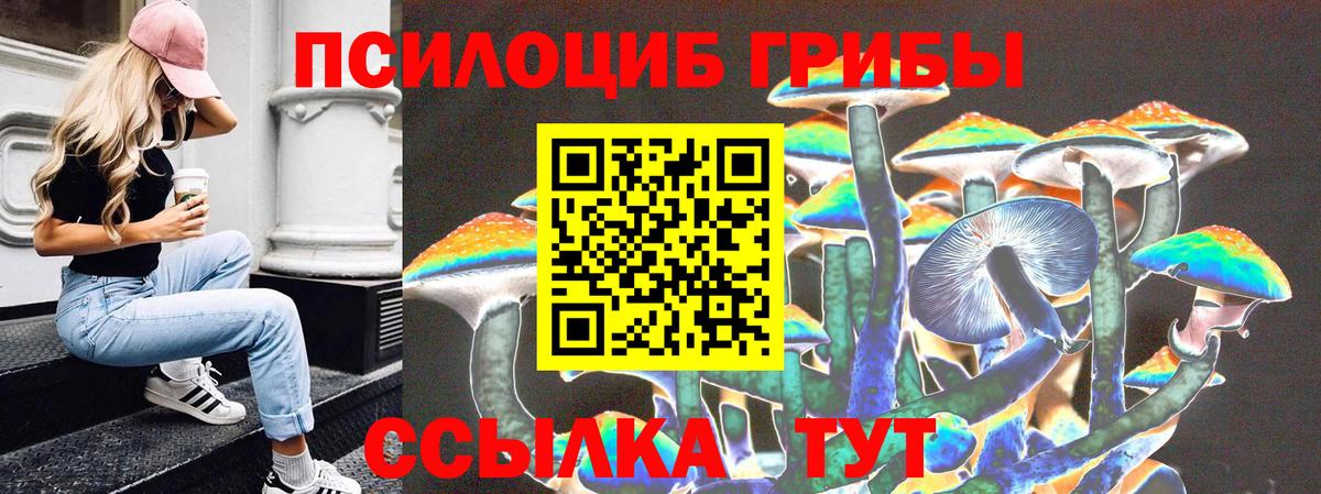Галлюциногенные грибы Cubensis  Вход с VPN  купить закладку  Галлюциногенные грибы Psilocybine cubensis  Шебекино 